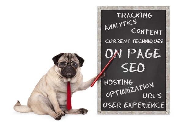 Dog With Blackboard covered in SEO Terms