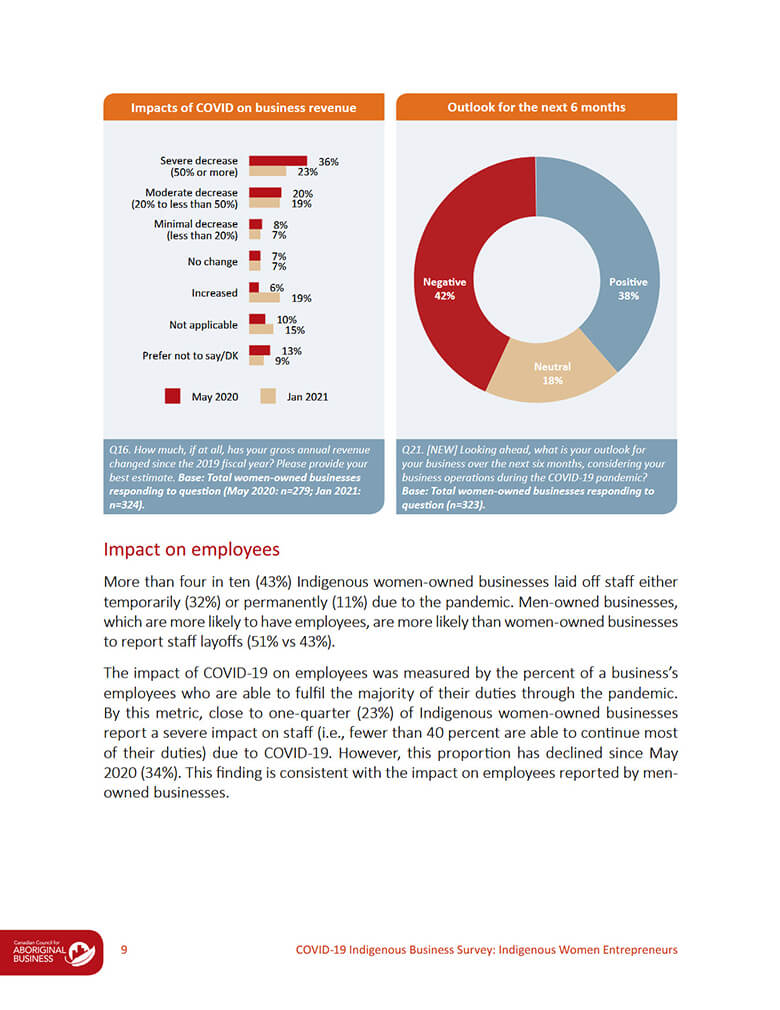Page taken from Indigenous Business Survey Report showcasing bar graphs and pie charts