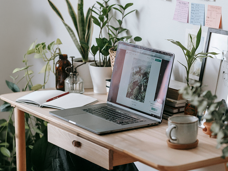 a laptop on a desk with post-it notes, notebook and an assortment of houseplants.